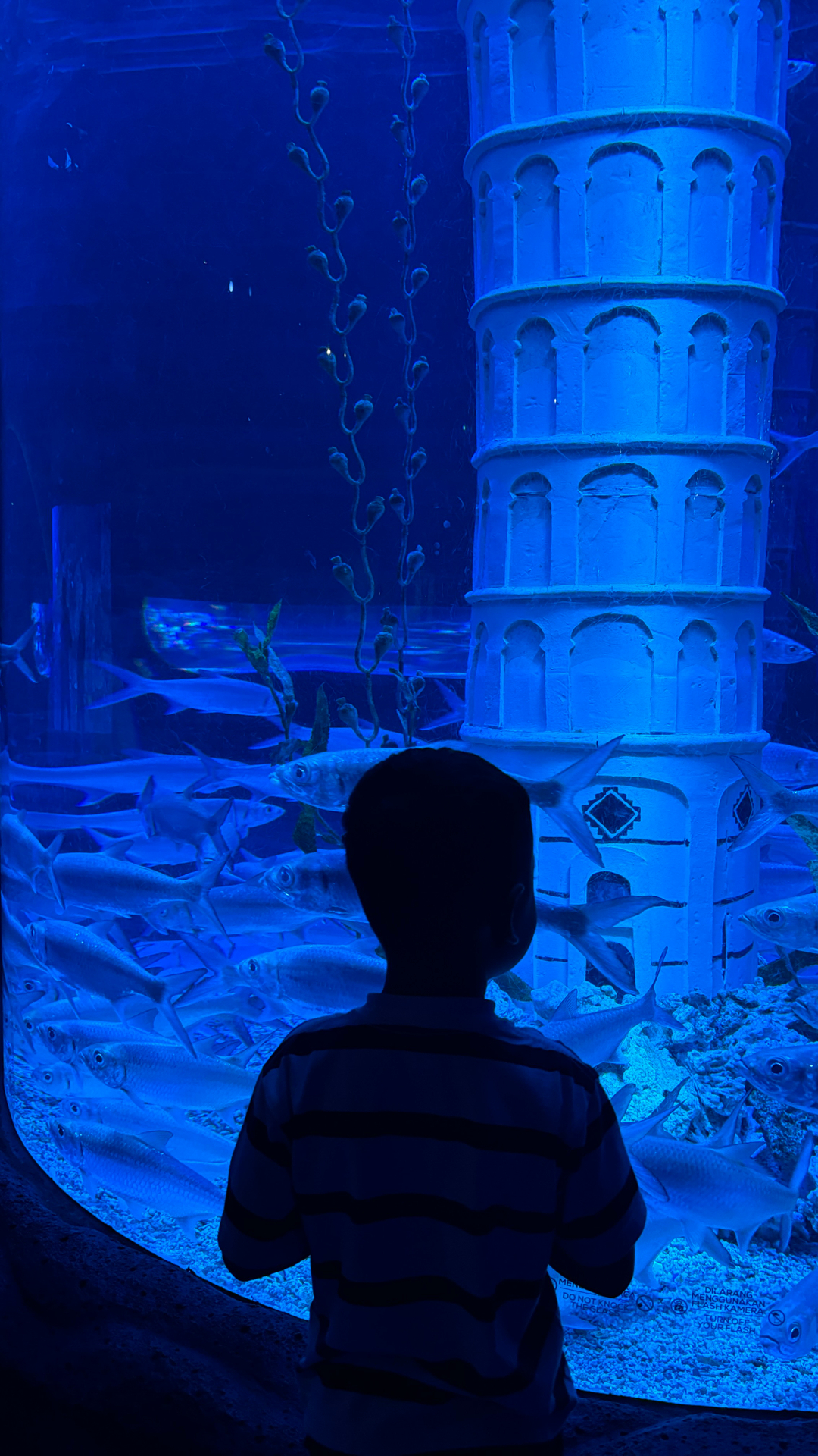 userImage-1