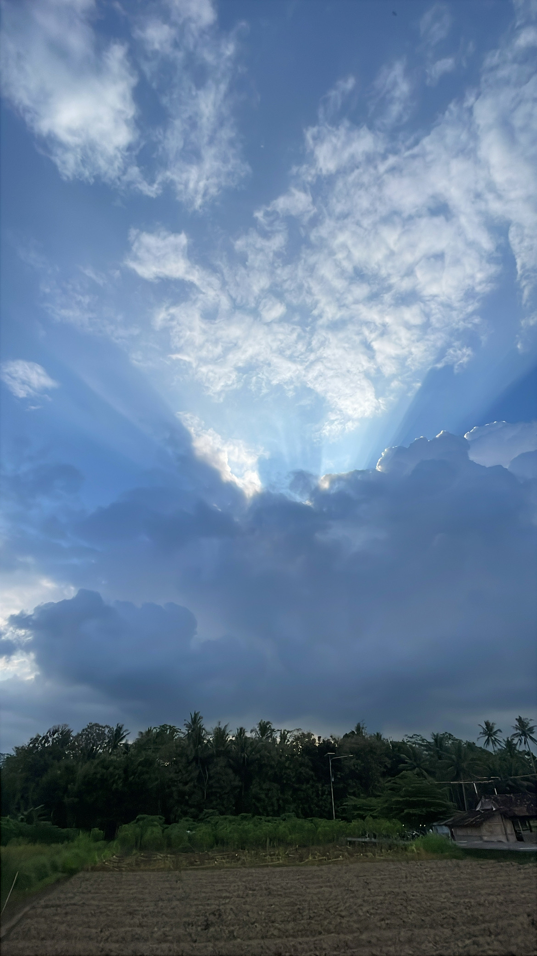 userImage-5