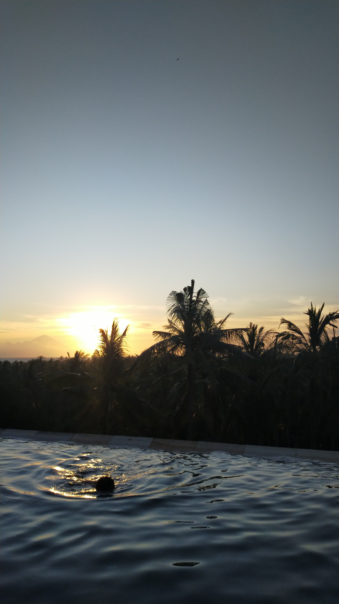 userImage-2