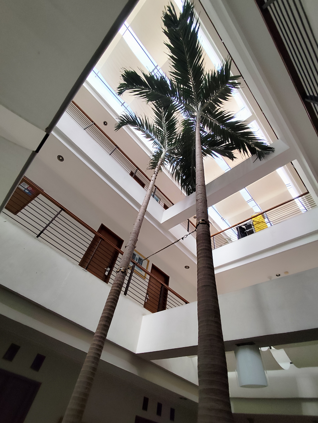 userImage-15