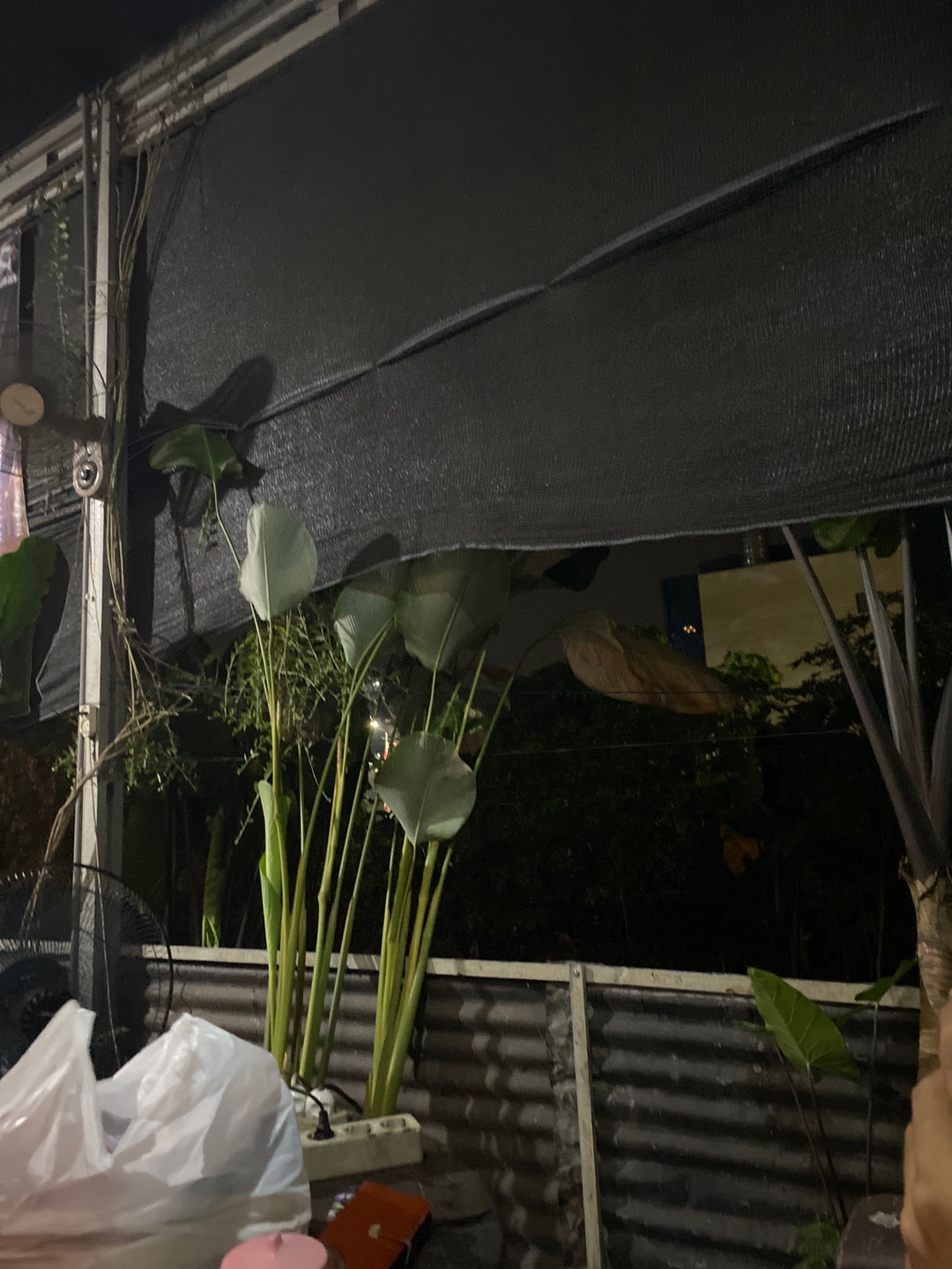 userImage-17