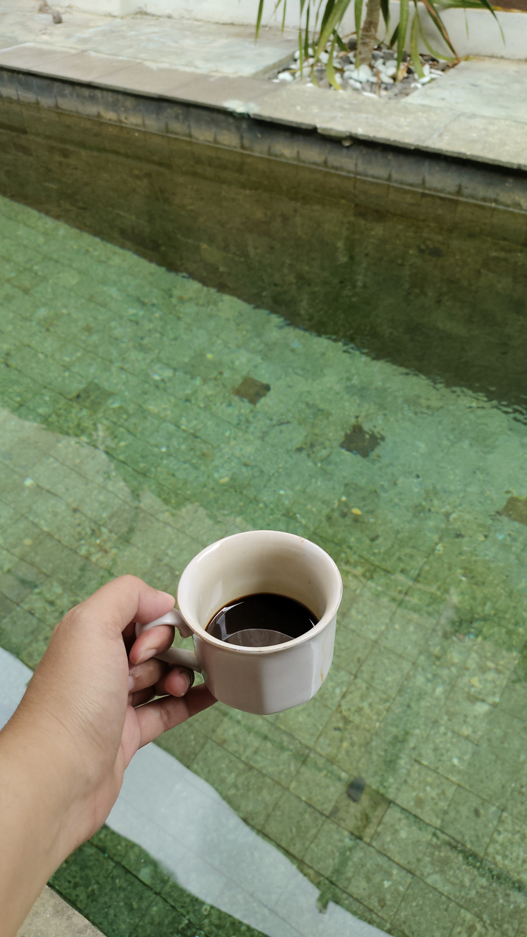 userImage-1