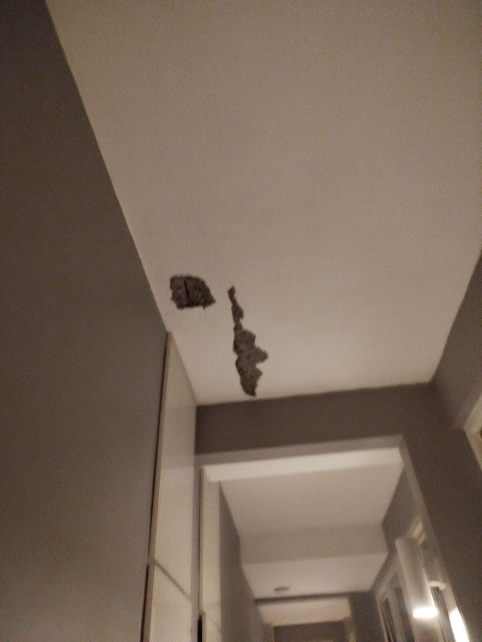 userImage-0