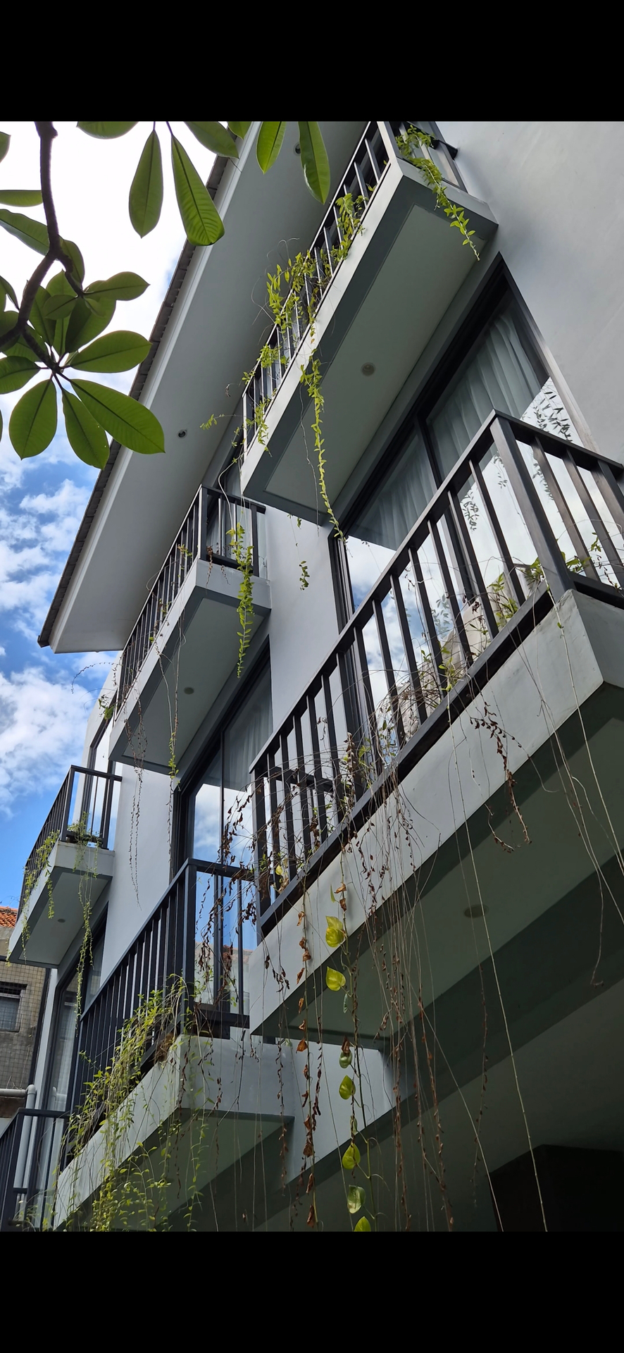 userImage-19