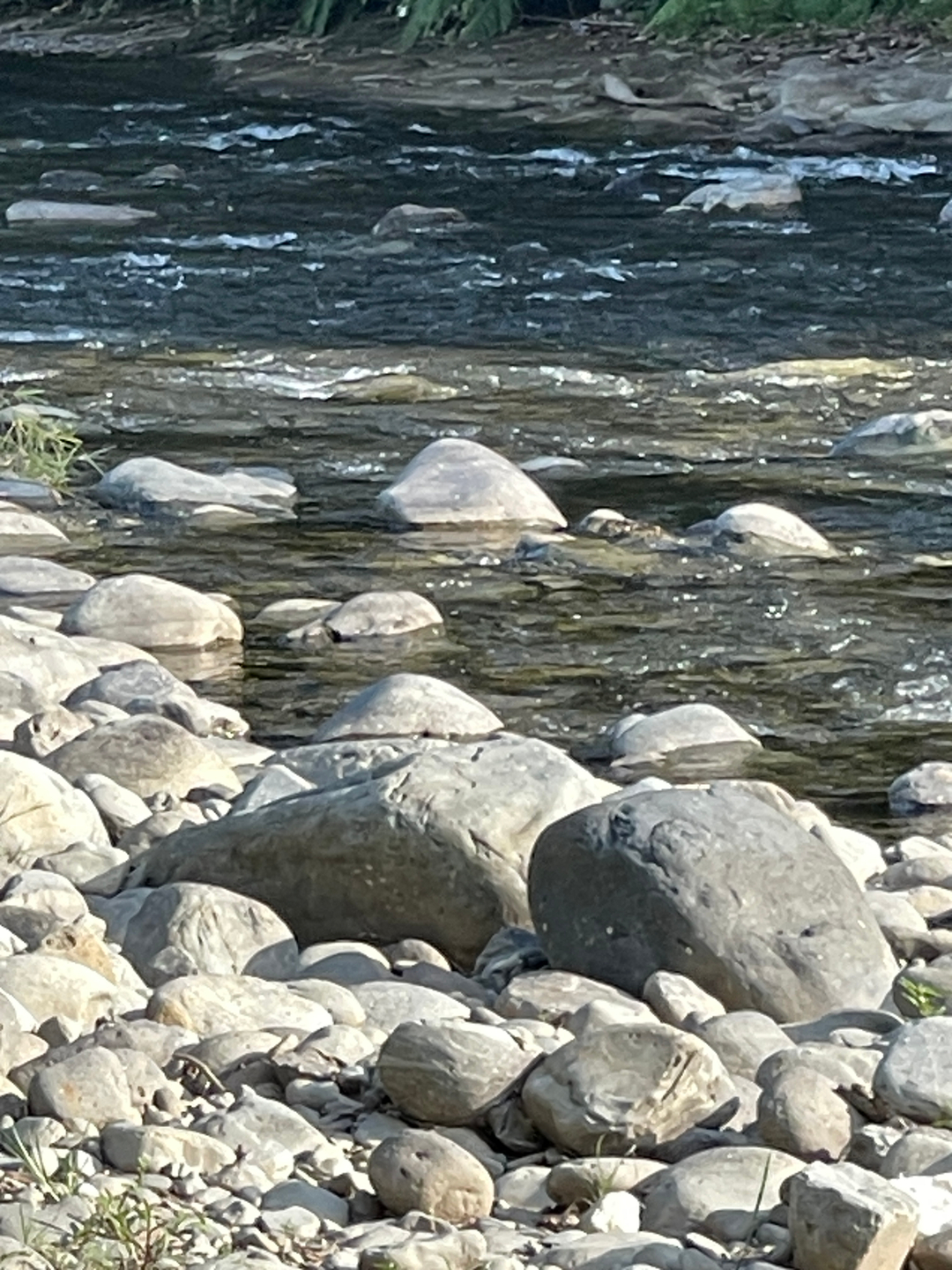 userImage-8