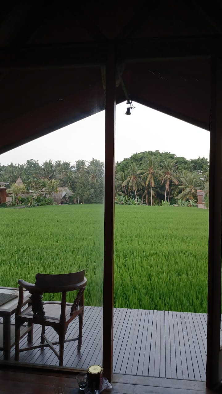 userImage-5