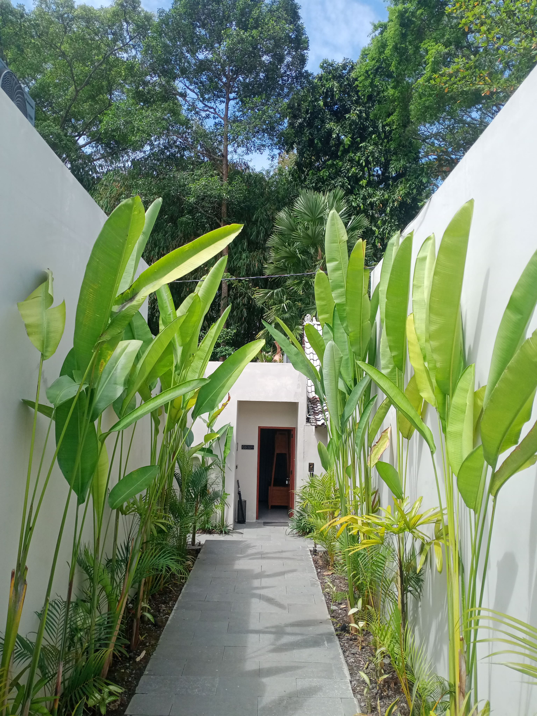 userImage-11
