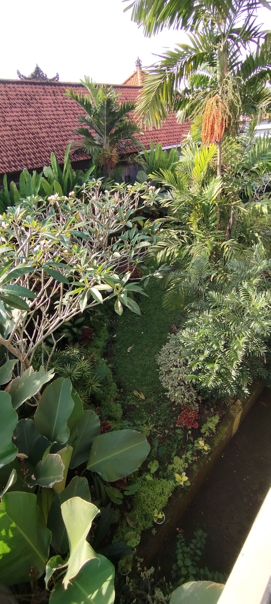 userImage-1