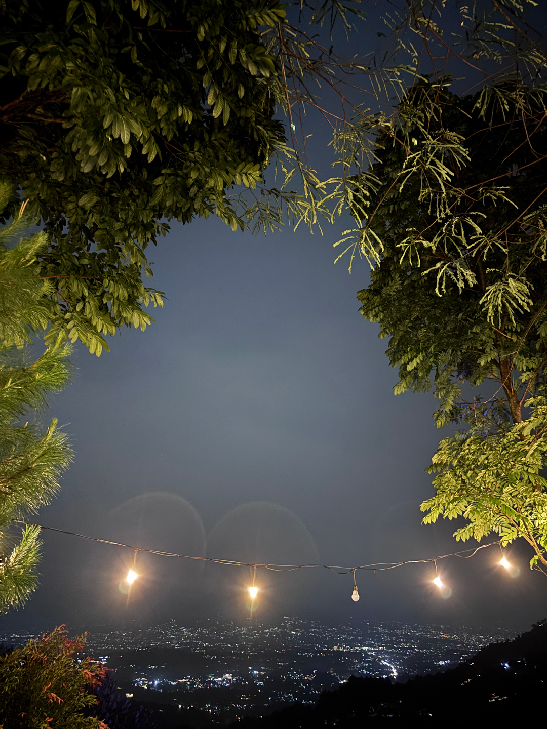 userImage-14