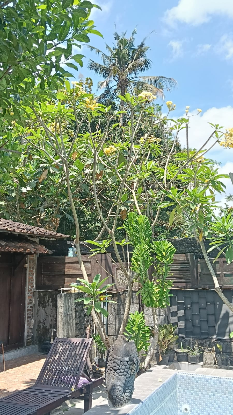 userImage-3
