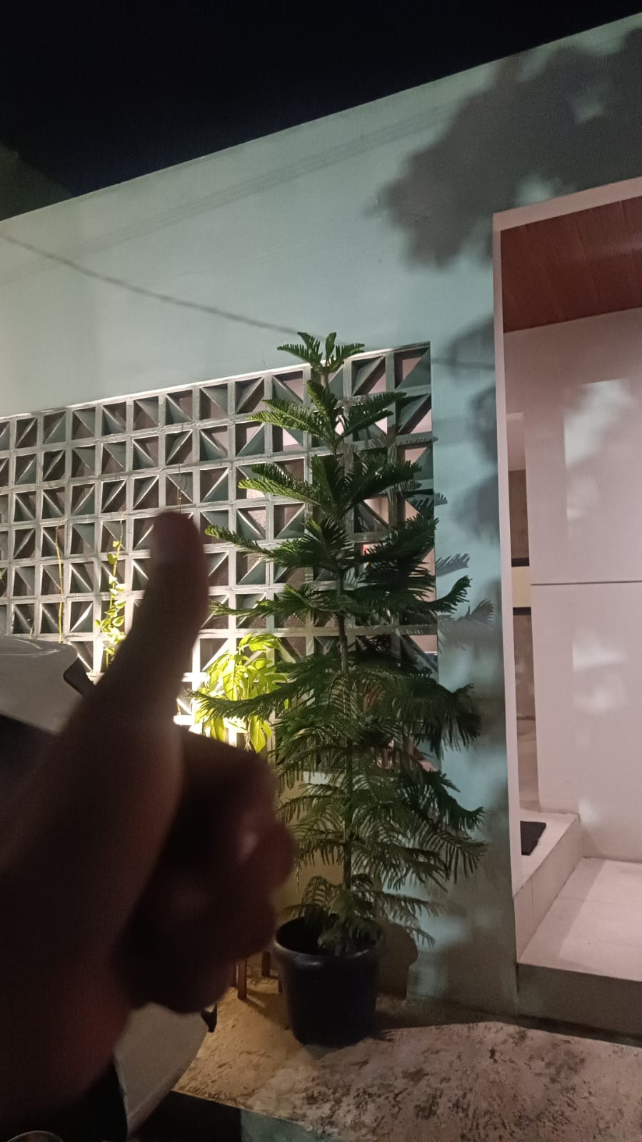 userImage-8