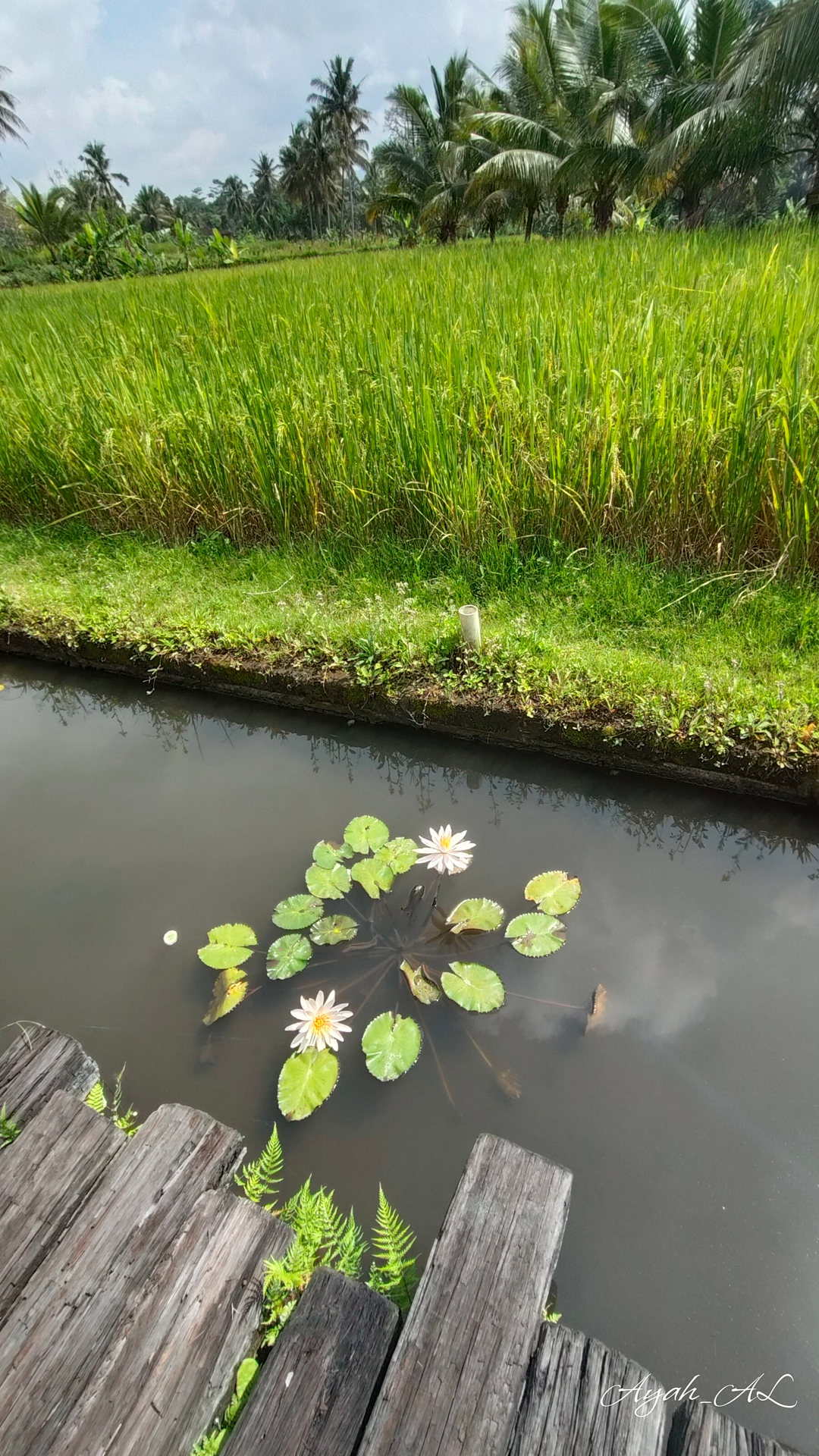 userImage-4