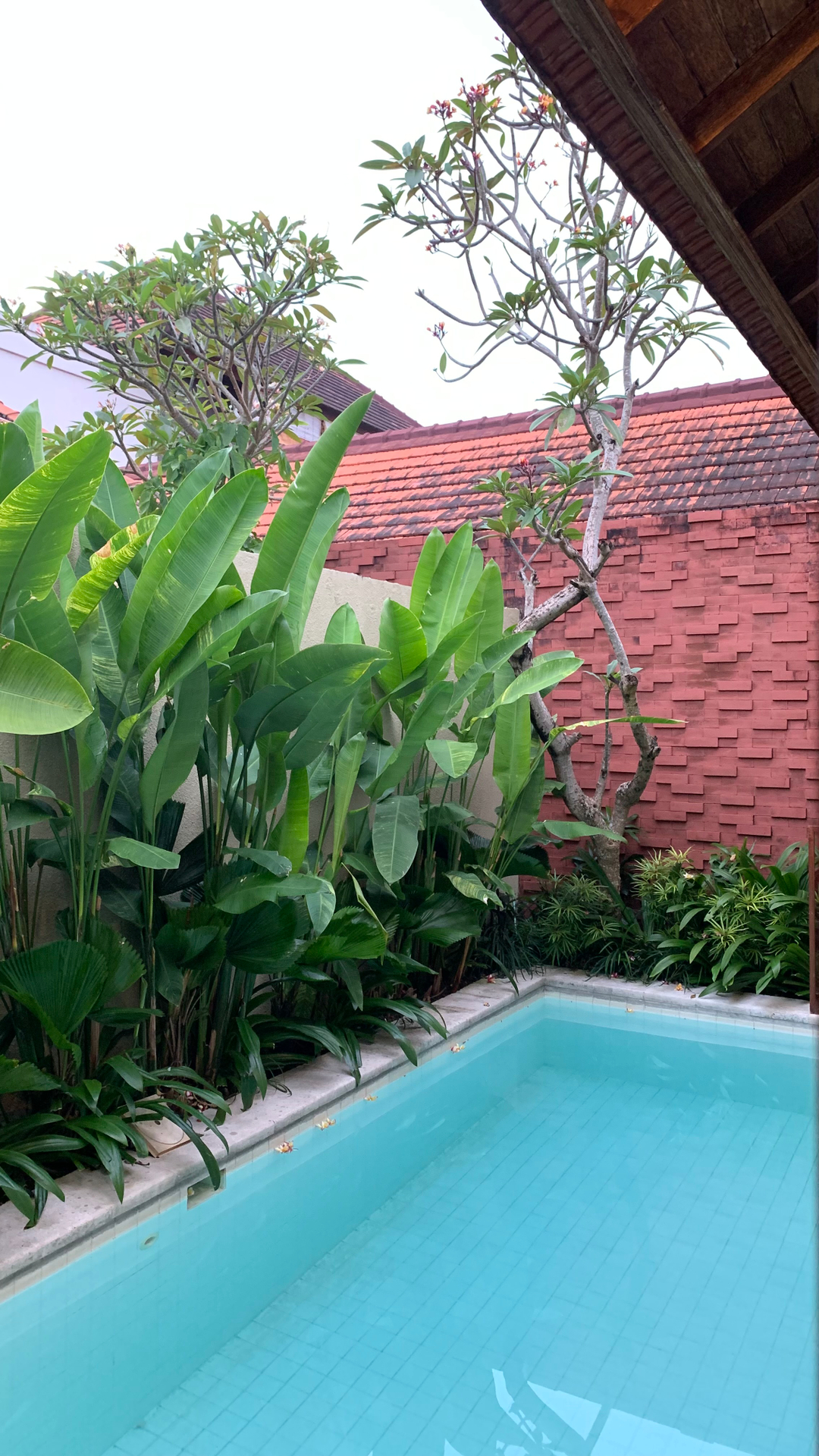 userImage-3