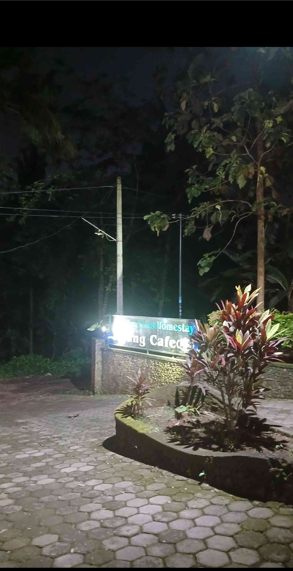 userImage-2