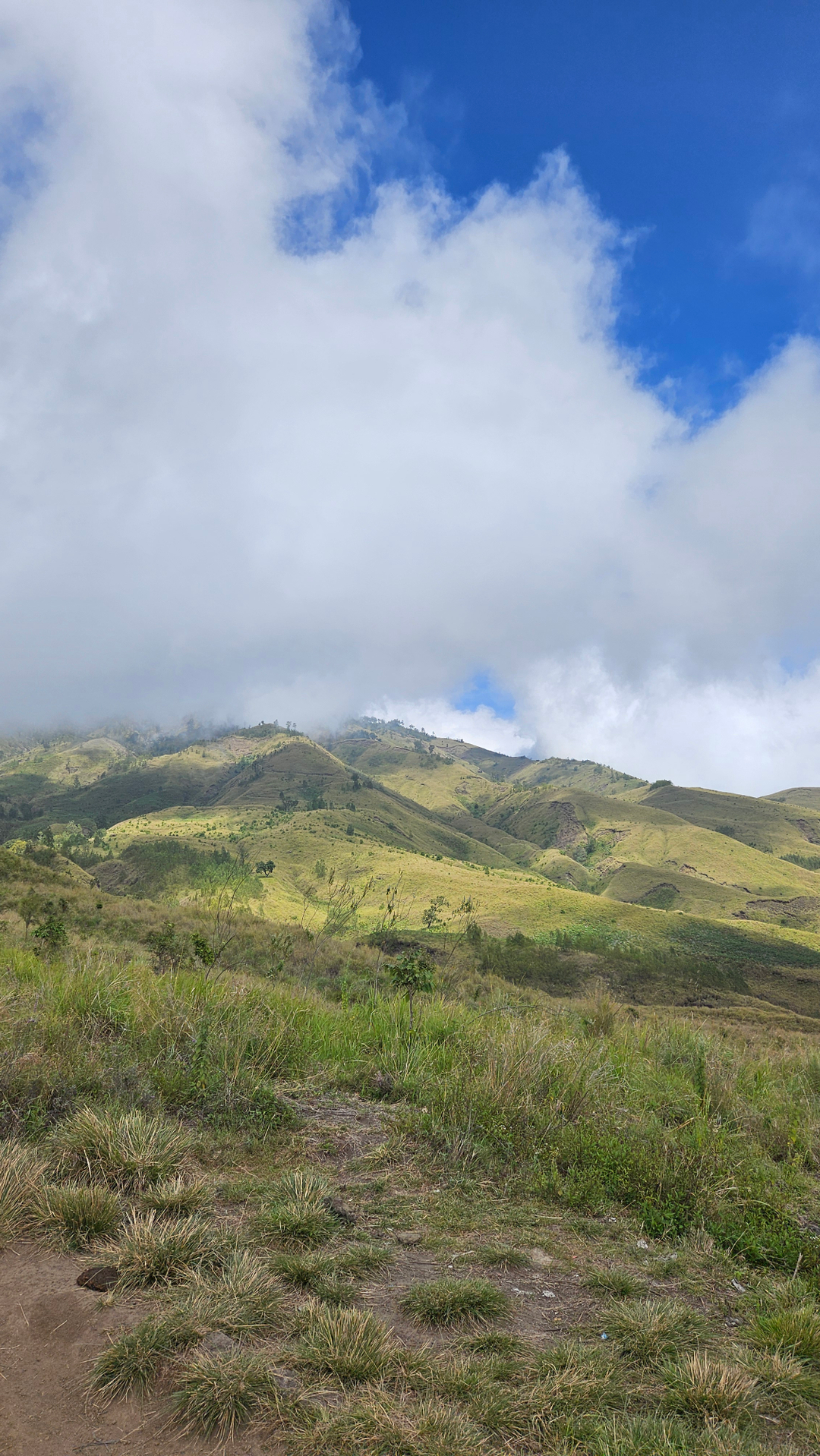 userImage-1
