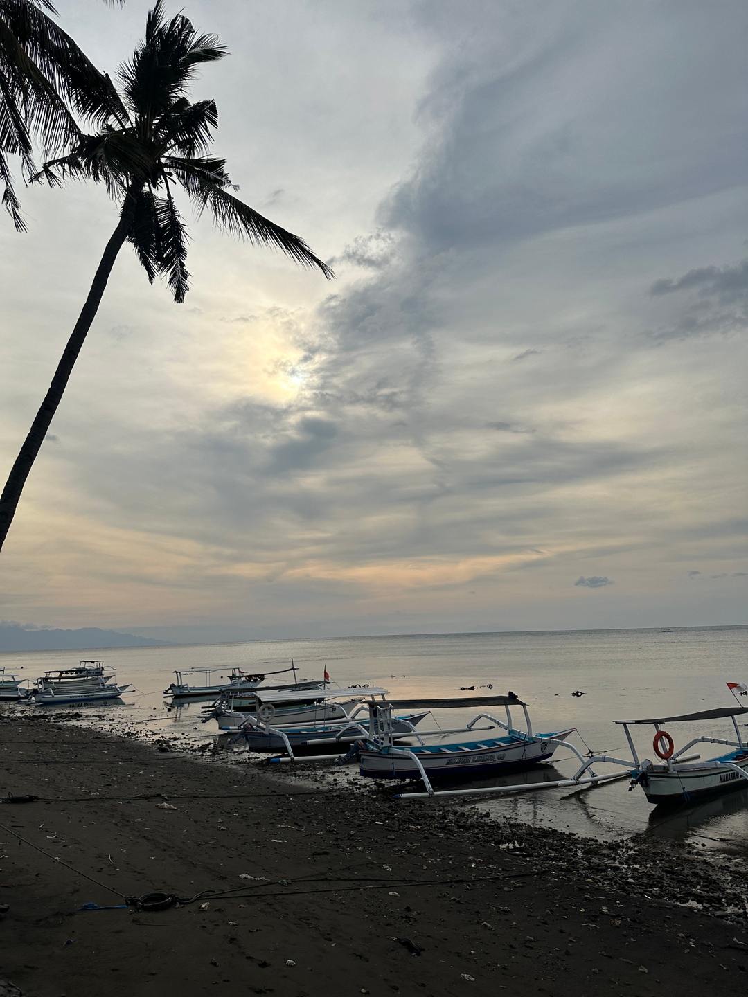 userImage-9