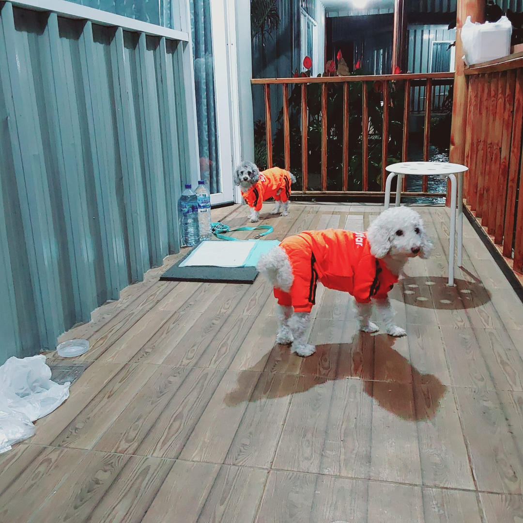 userImage-13