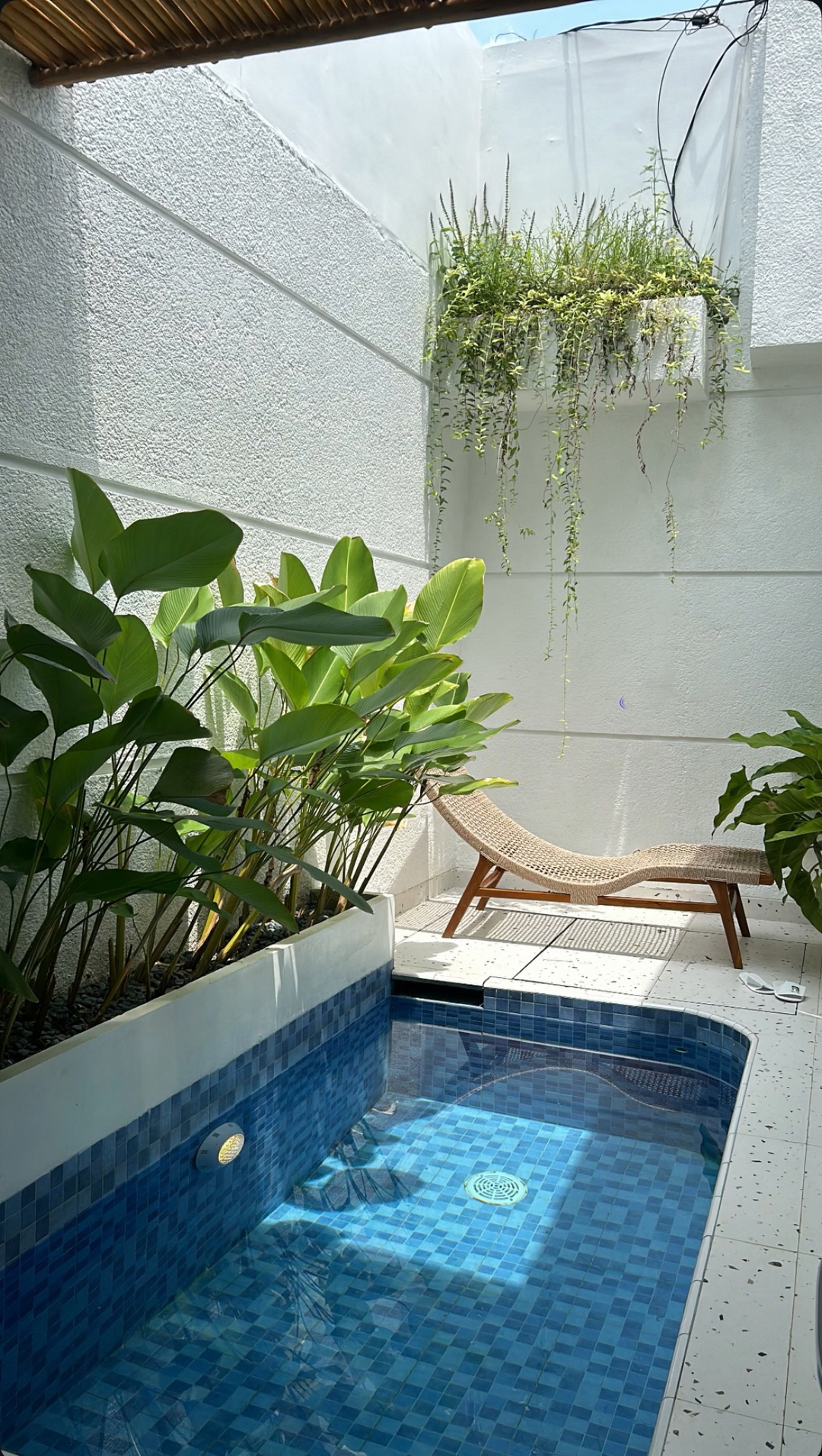 userImage-19