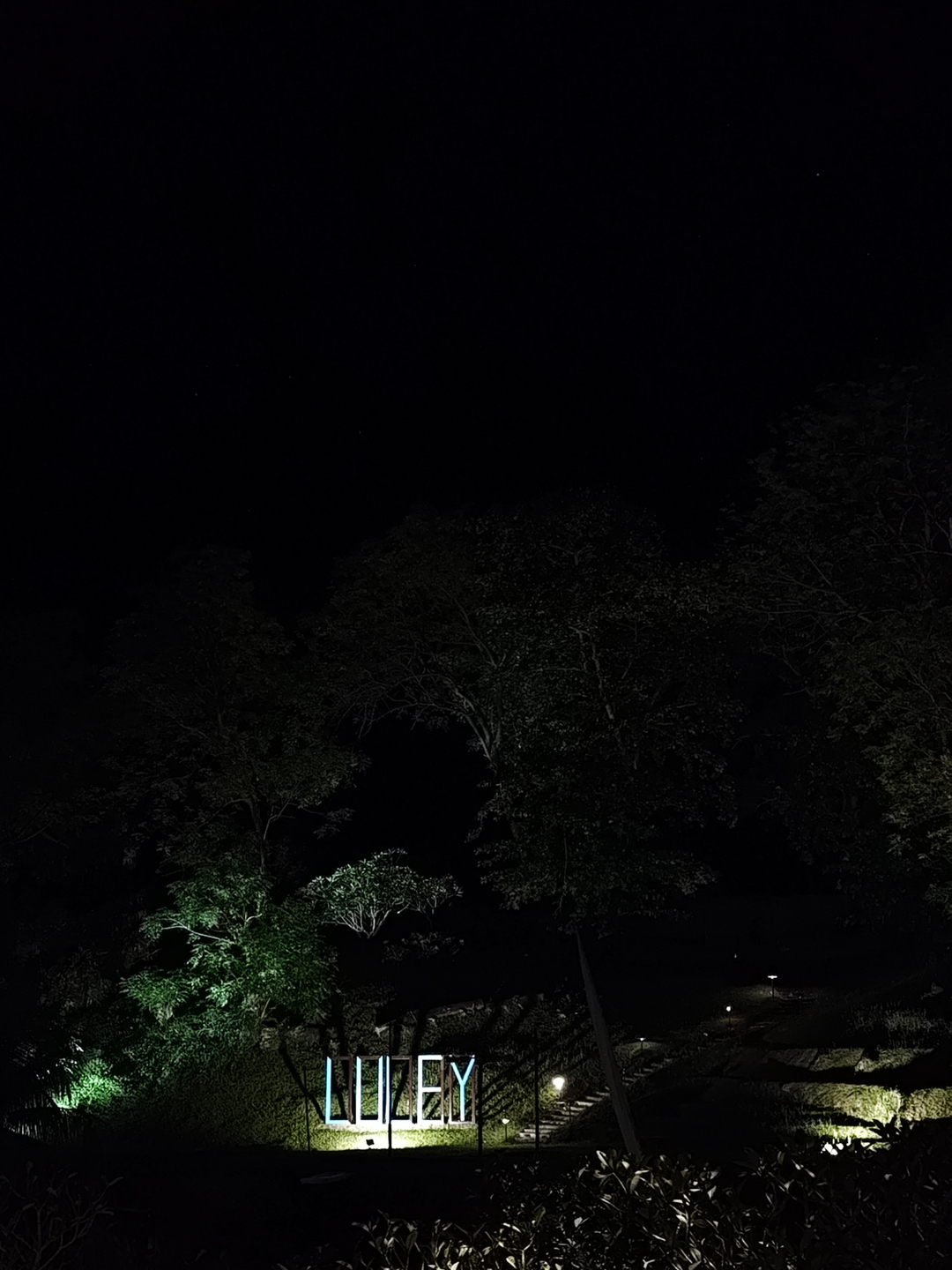 userImage-16