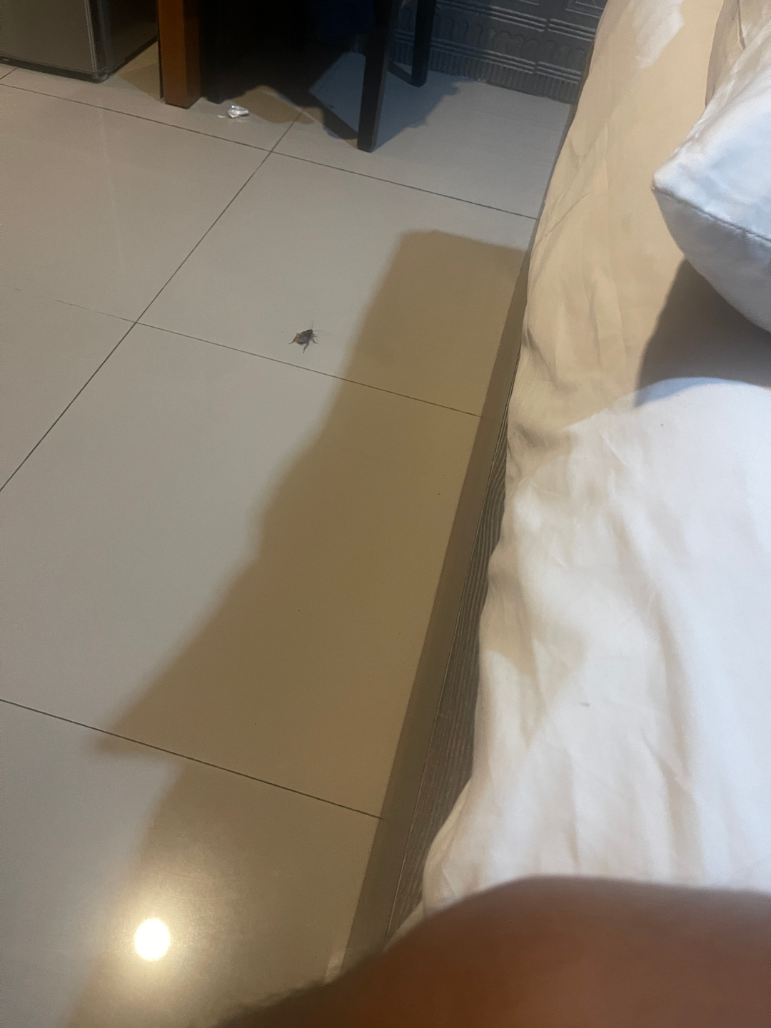 userImage-16