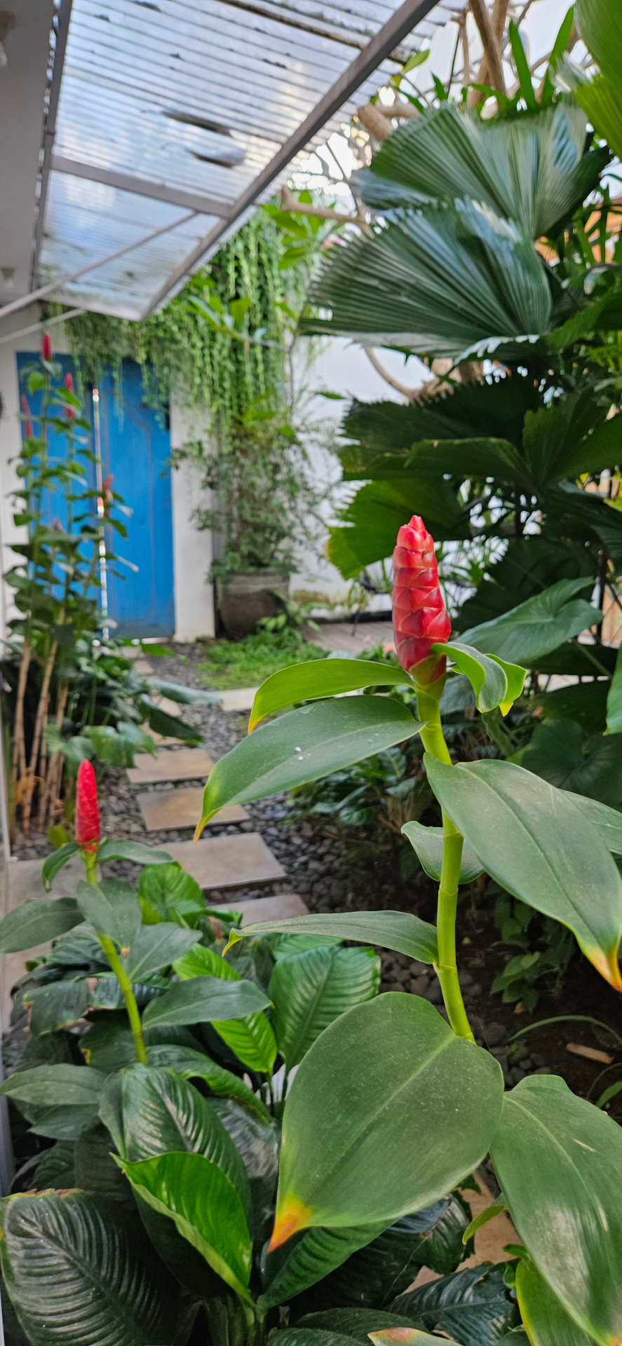 userImage-12