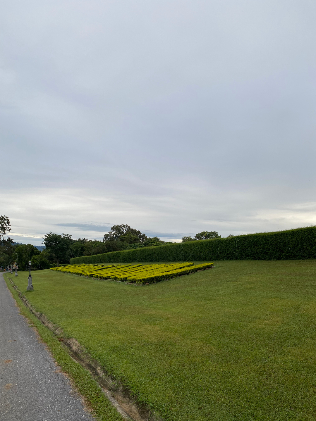 userImage-10