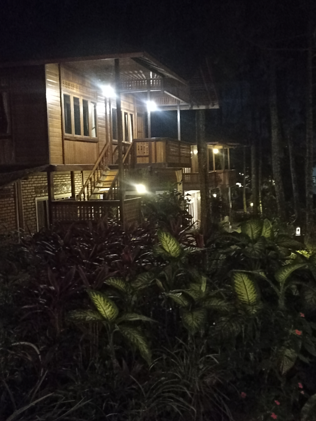 userImage-4