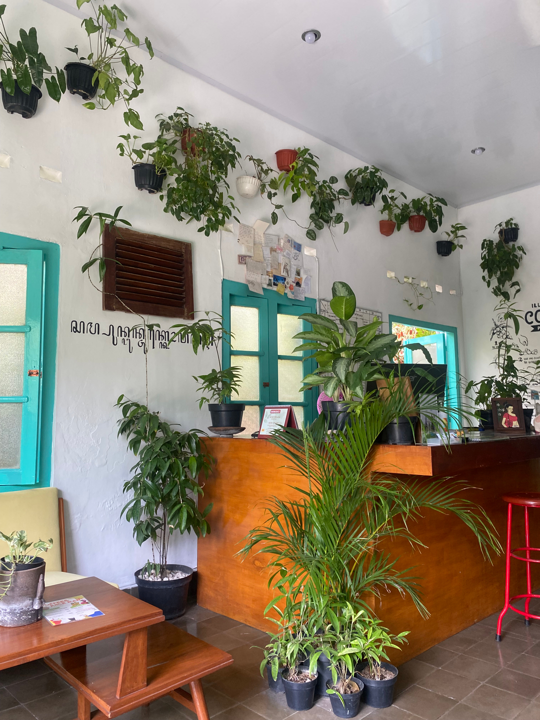 userImage-12