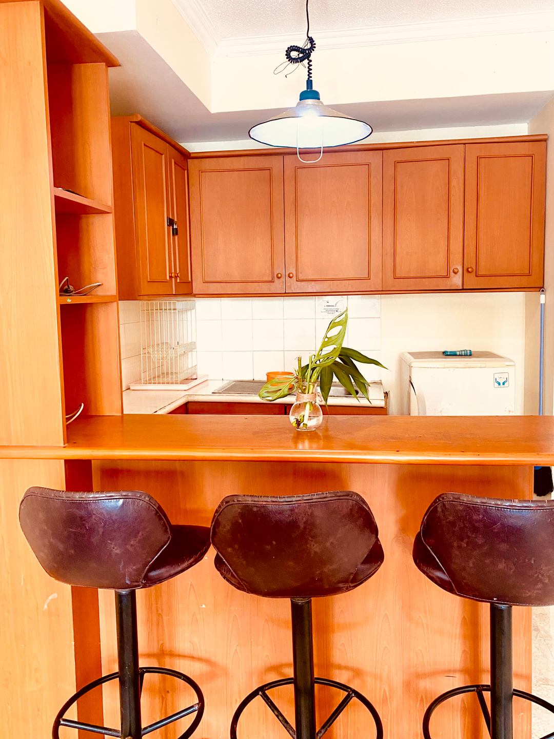 userImage-1