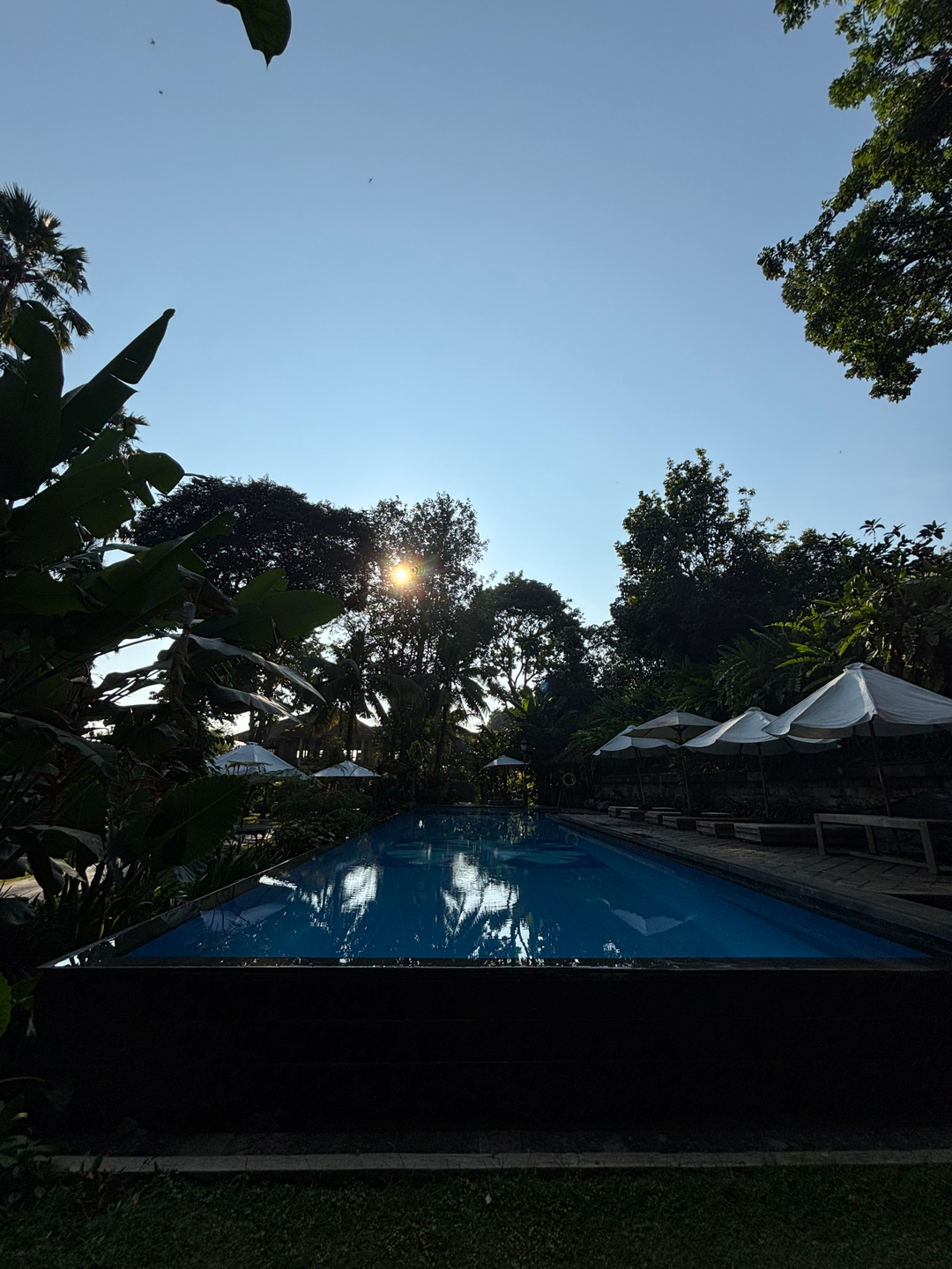 userImage-17