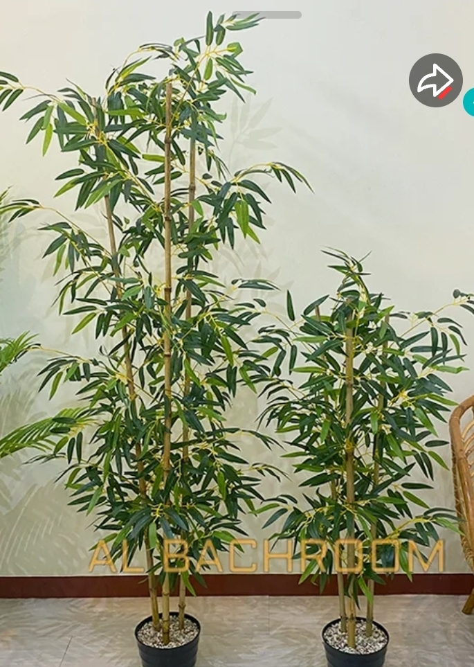 userImage-8