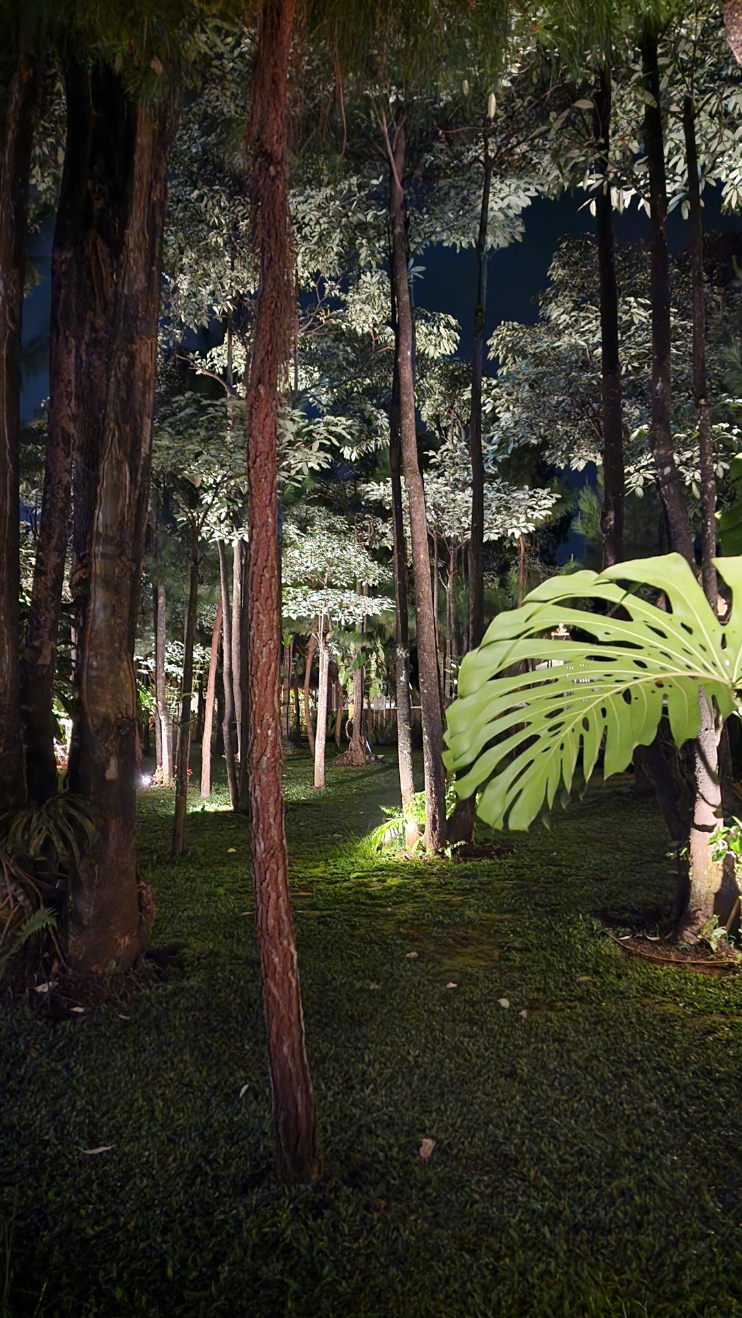 userImage-17