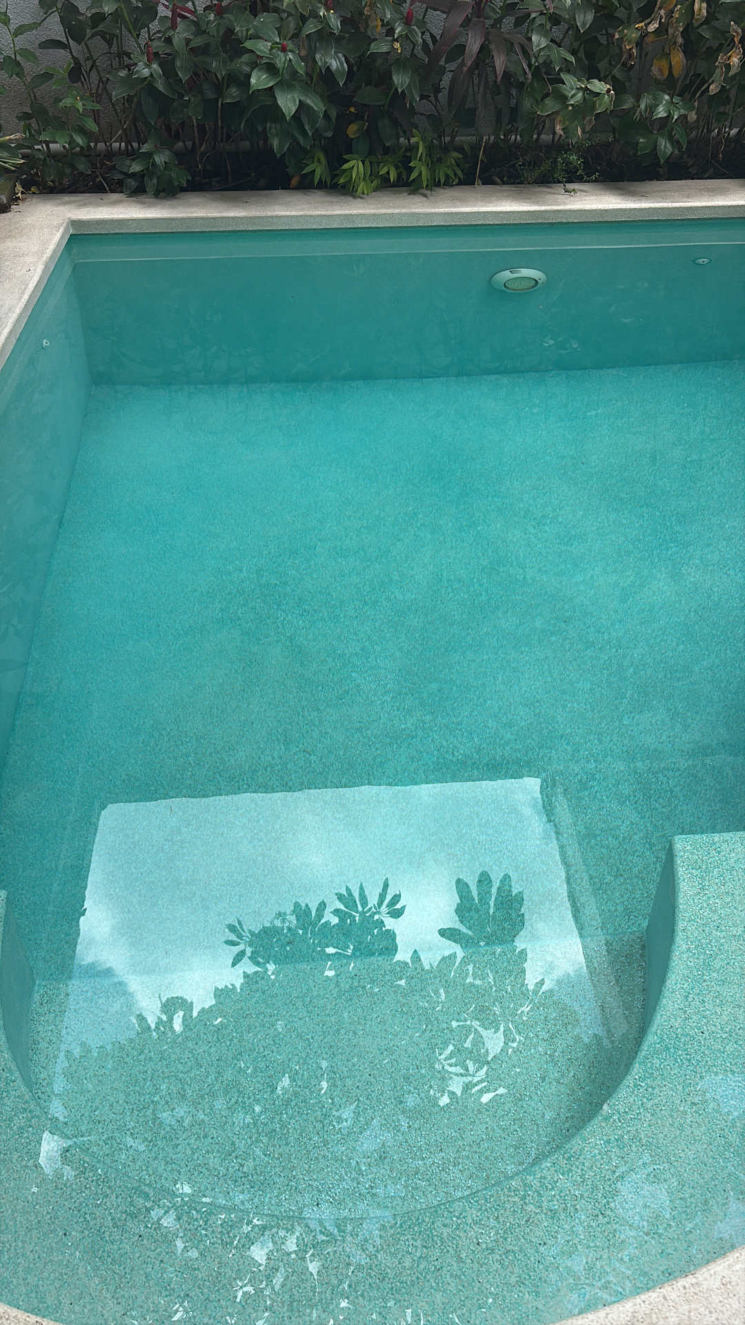 userImage-1