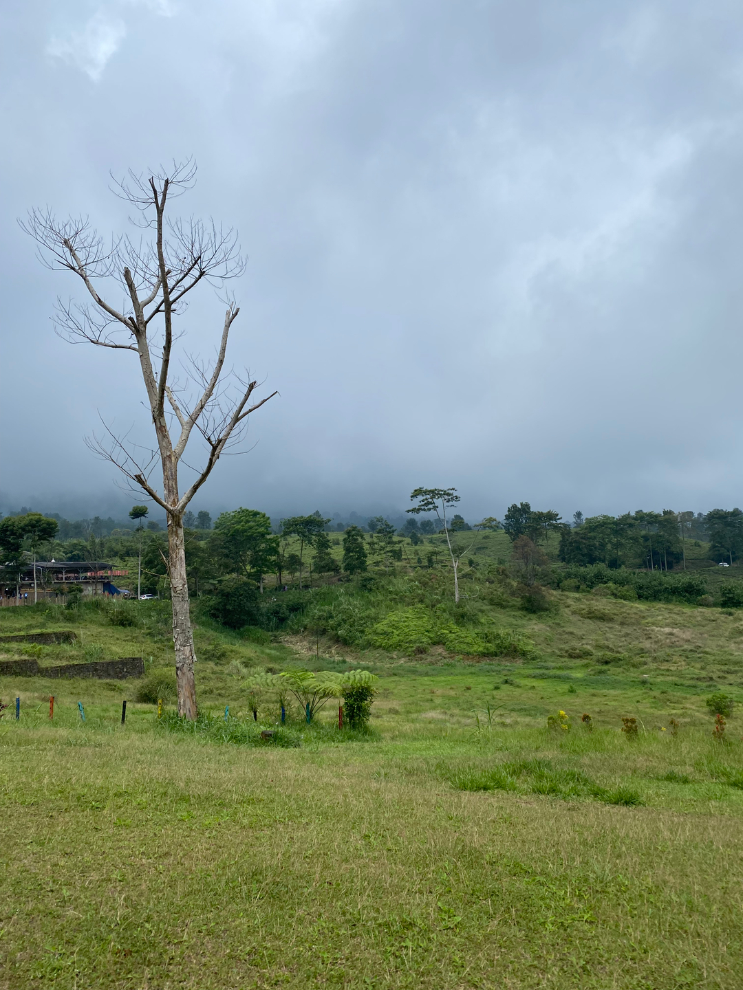 userImage-2