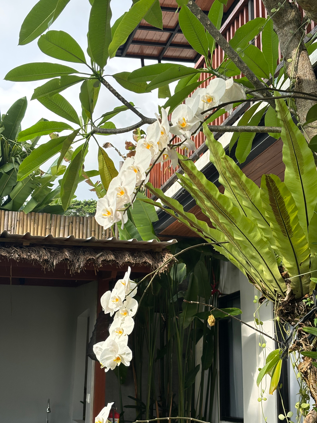 userImage-5