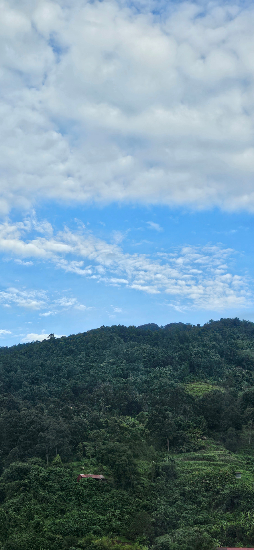 userImage-12