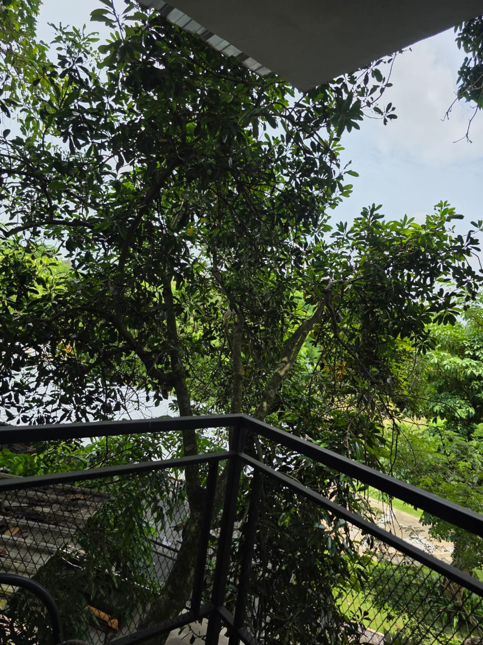 userImage-2