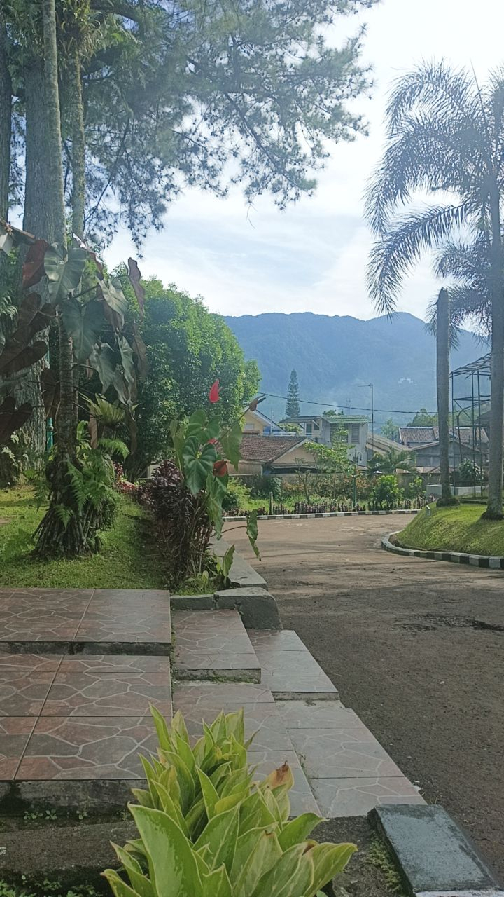 userImage-16