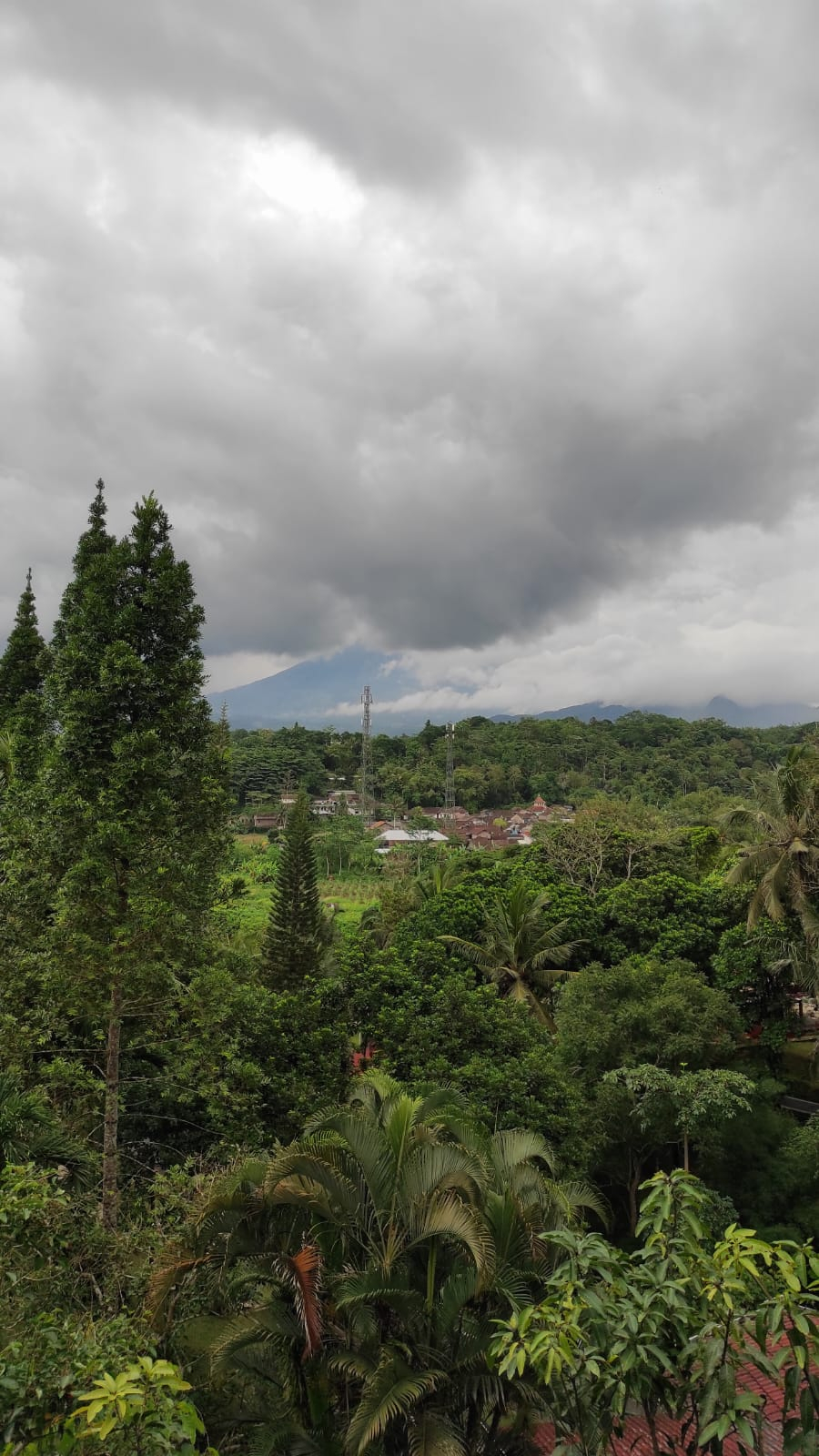 userImage-17