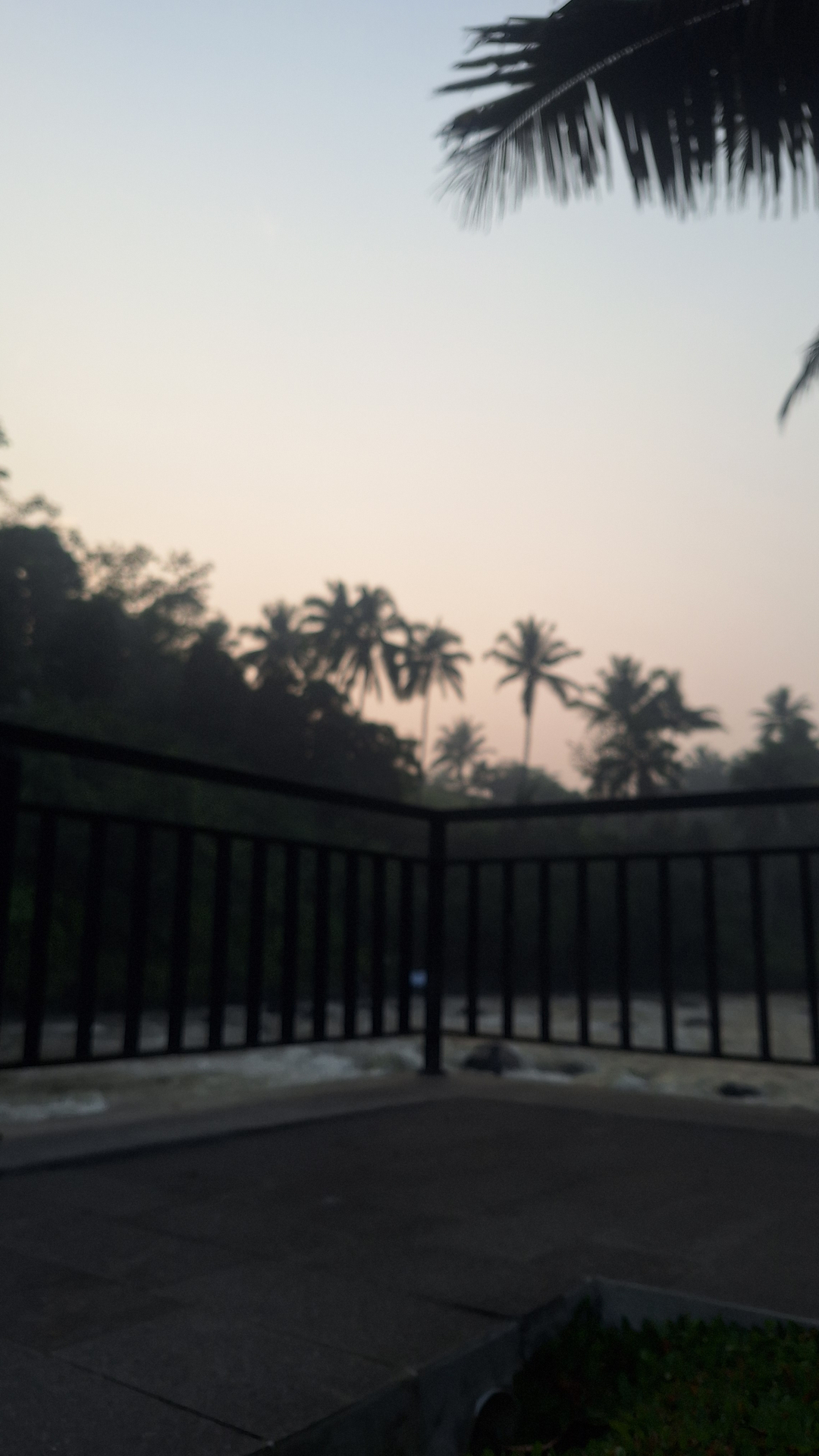 userImage-4