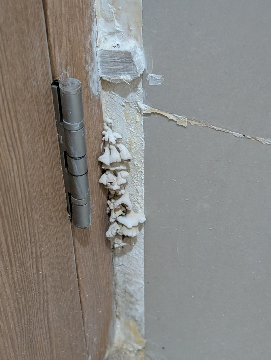 userImage-0
