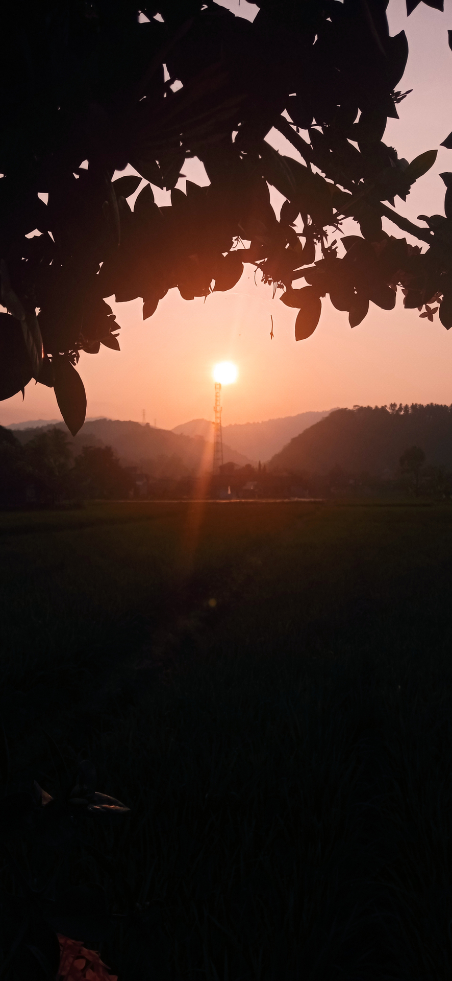 userImage-7