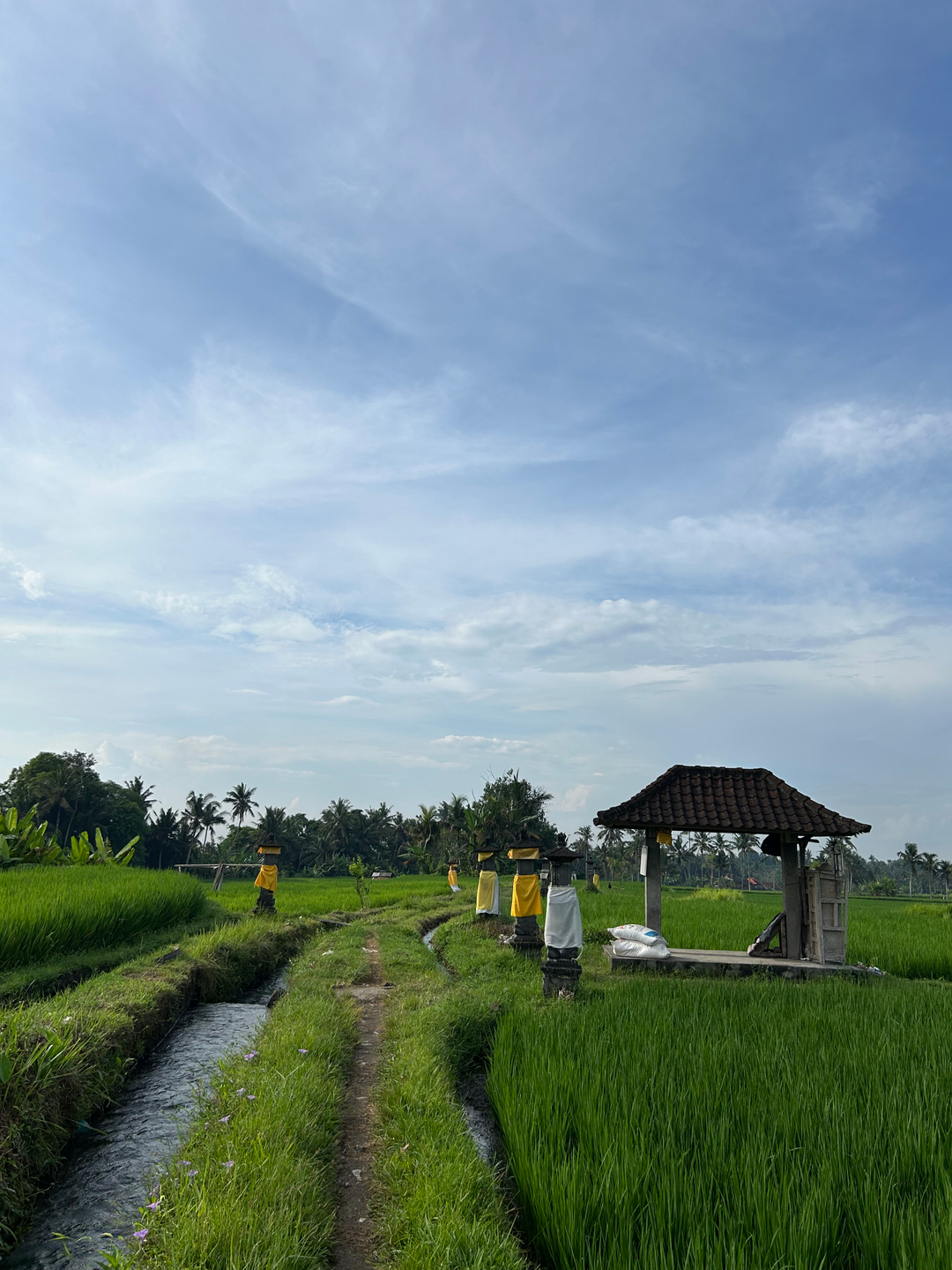userImage-1