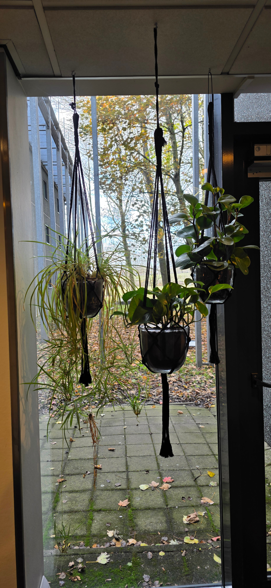 userImage-11