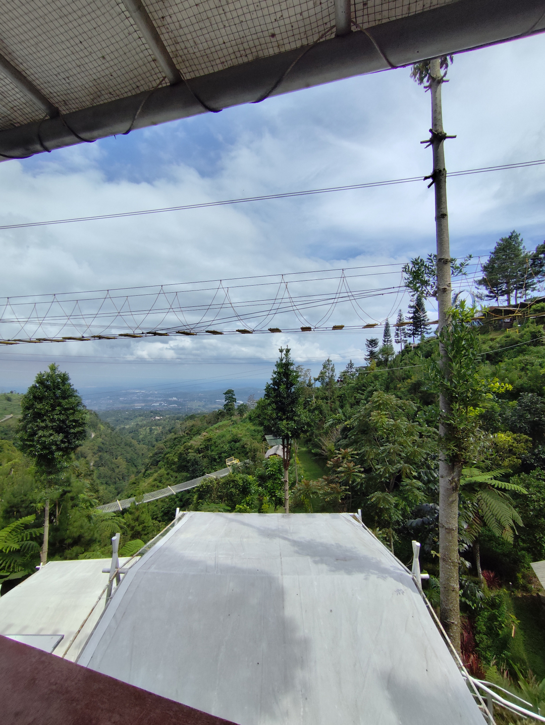 userImage-1