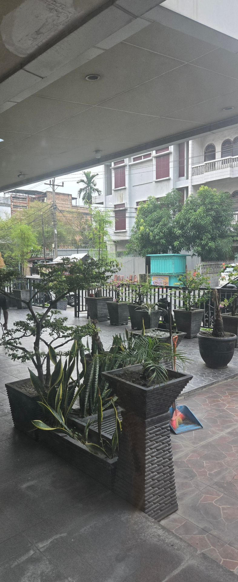 userImage-11