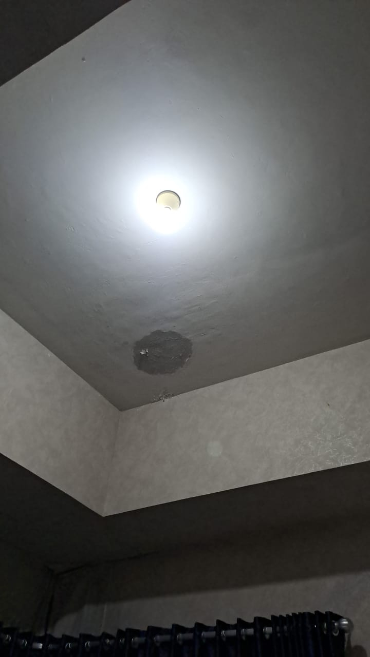 userImage-6