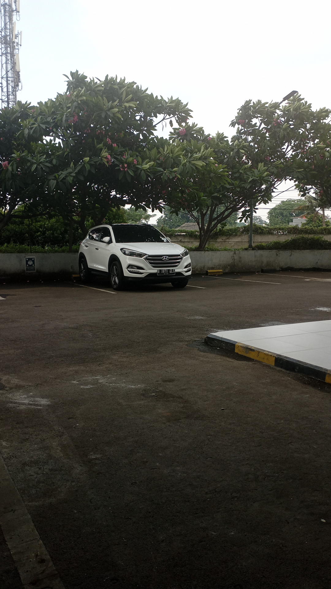 userImage-5