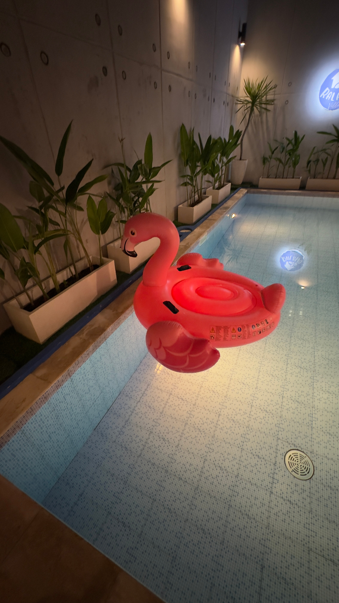 userImage-1