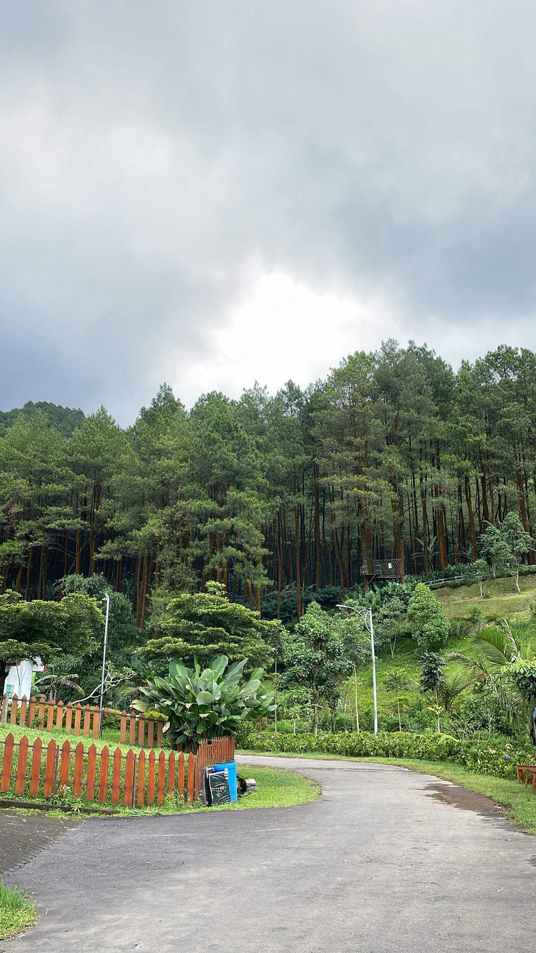 userImage-6